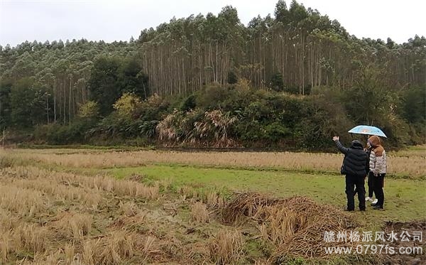 普洱市陈老师带着爱徒寻龙点穴